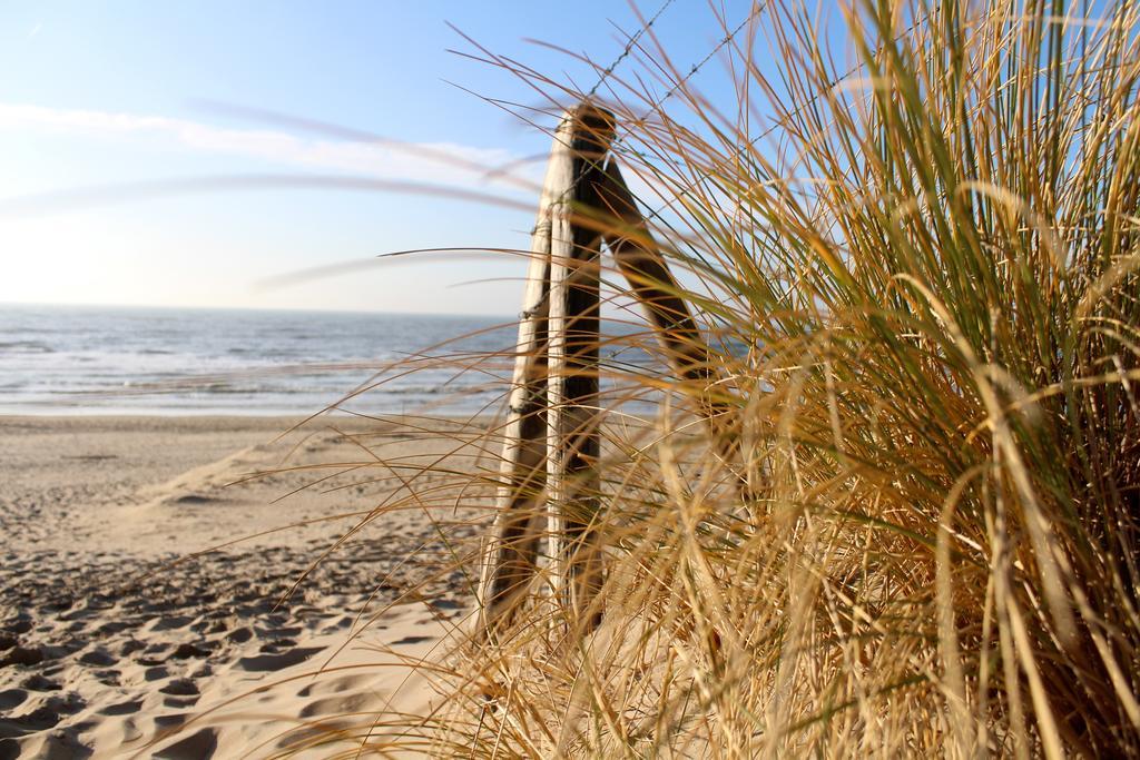 Hofje Van Maas Zandvoort Esterno foto